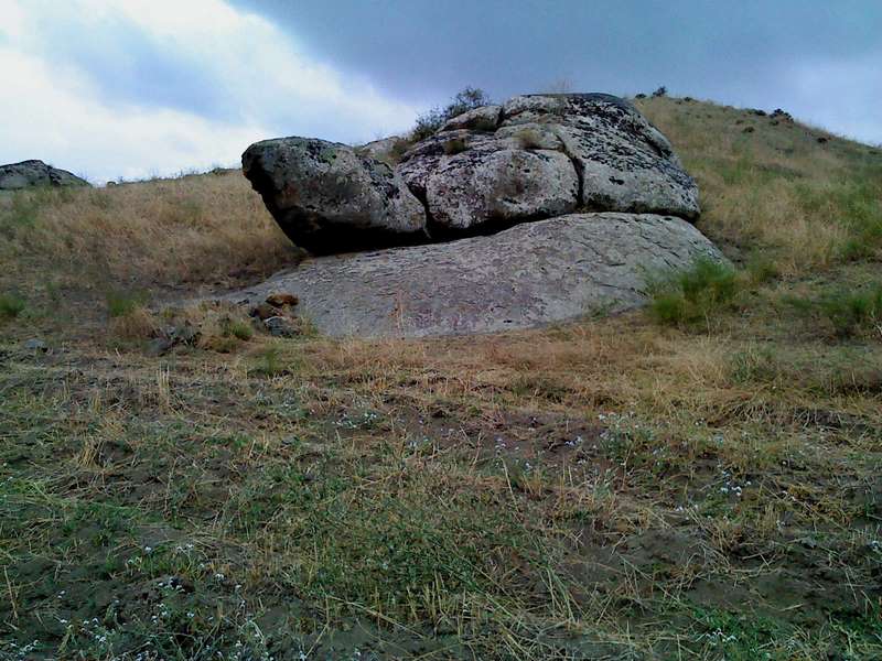 لاک پشت در گنج یابی