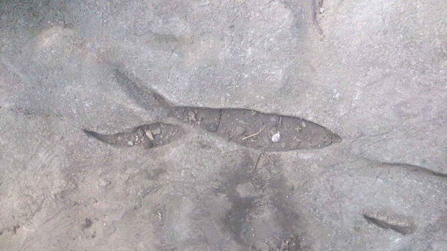 You are currently viewing علامت ماهی در گنج یابی و آثارشناسی حالتهای مختلف ماهی